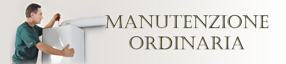 manutenzione_ordinaria.png